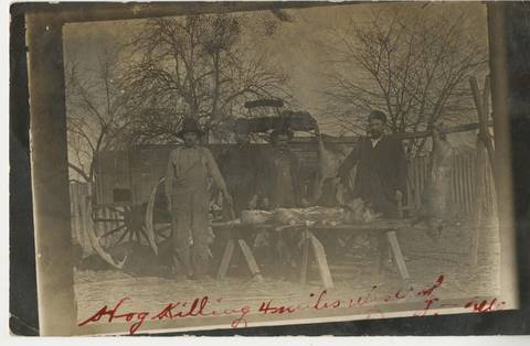 Hog Killing