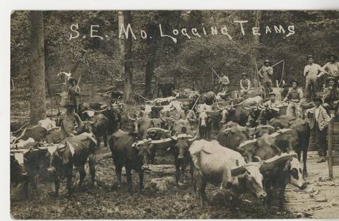 S.E. Mo. Logging Teams