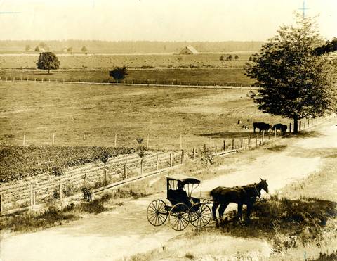 C.D. Matthews Farm